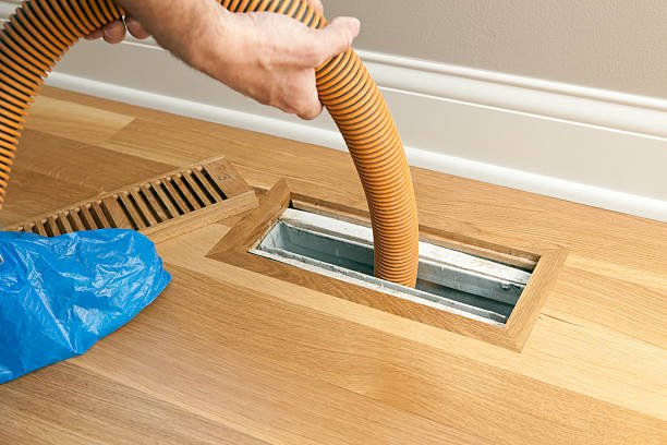 Best Professional Duct Cleaning Services  in White City, UT